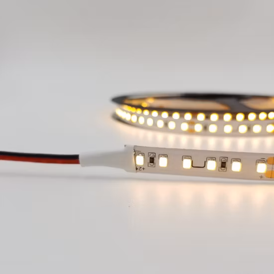 SMD 5050 60LEDs Low Voltage DC 12V 24V High Voltage AC 110V 220V IP68 Waterproof Flexible LED Strip