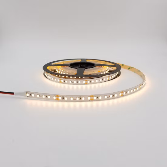 SMD 5050 60LEDs Low Voltage DC 12V 24V High Voltage AC 110V 220V IP68 Waterproof Flexible LED Strip