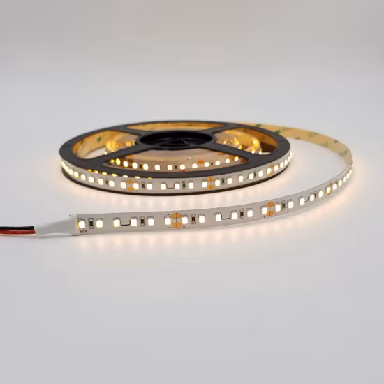 SMD 5050 60LEDs Low Voltage DC 12V 24V High Voltage AC 110V 220V IP68 Waterproof Flexible LED Strip