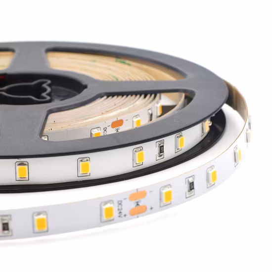 SMD2835 60LEDs Niederspannung DC 12V 24V Hochspannung AC 110V 220V LED-Flexstreifen