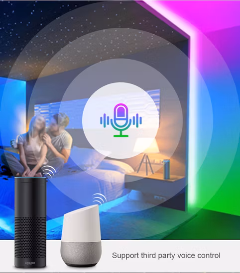 Adressierbarer 5 m integrierter IC Ws2813 DC5V 5050 RGB Dream Color Pixel Magic Volldigitaler LED-Flexstreifen