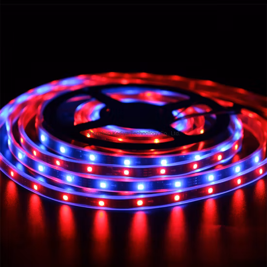 LED-Streifen Ws2811 LED-Pixel 12V programmierbarer LED-Streifen