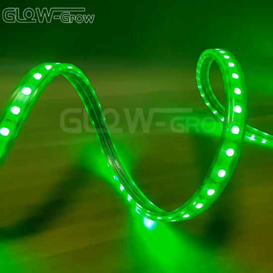 IP65 60LEDs/M SMD 5050 Hochspannung 220V LED-Licht Beste Teststreifenfabrik in China