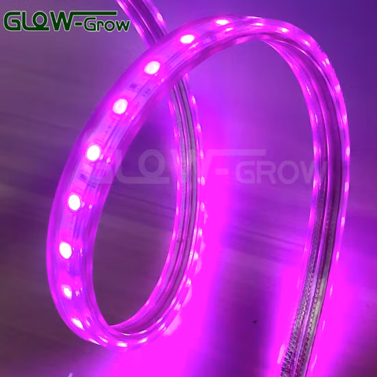 Einfarbige 72LEDs/M SMD2835 Hochspannungs-LED-Lichtleiste für die Dekoration von Weihnachtsbars, Heimclubs